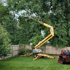 Best Stump Grinding and Removal  in Newington Forest, VA
