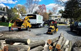 Best Lawn Watering Services  in Newington Forest, VA