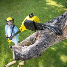 Best Tree Cabling and Bracing  in Newington Forest, VA
