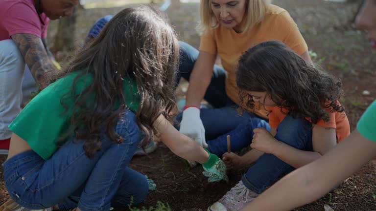Best Soil Testing and Treatment  in Newington Forest, VA
