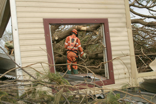 Best Tree Preservation Services  in Newington Forest, VA